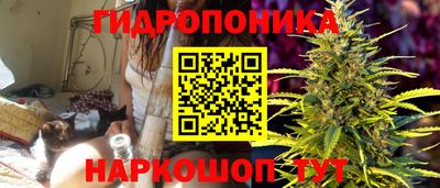 винт Вышний Волочёк